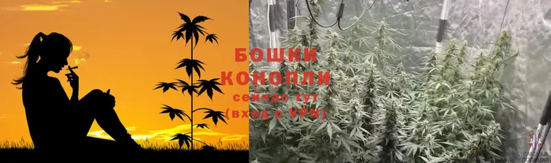 закладка  Демидов  МАРИХУАНА SATIVA & INDICA 